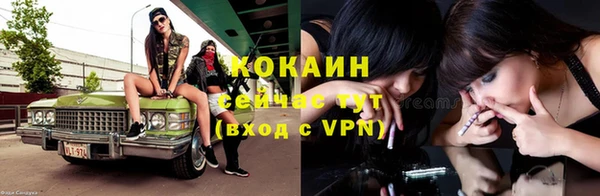 ALPHA PVP Богородицк
