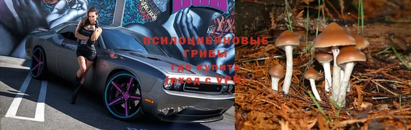 соль ск Богданович