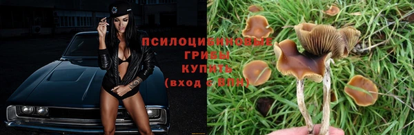 ALPHA-PVP Богородск