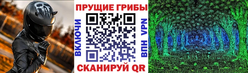 гидра маркетплейс Малая Вишера Псилоцибиновые грибы Magic Shrooms